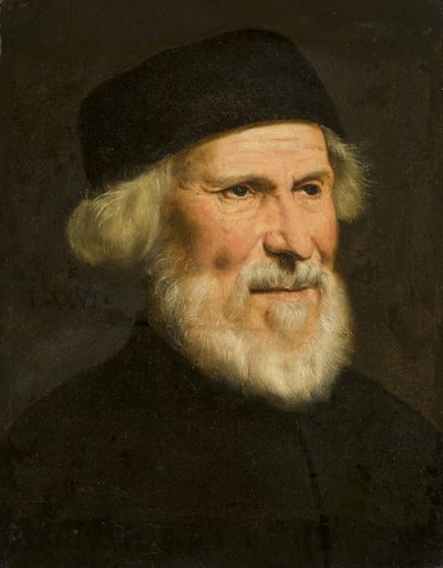 Portret van een Venetiaan, ca. 1550 door Jacopo Robusti Tintoretto